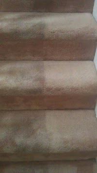 Lush Carpet and Upholstery Cleaning 355257 Image 4